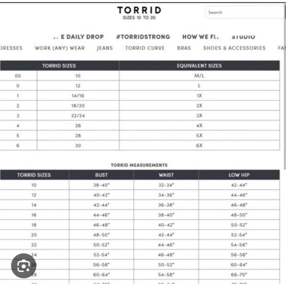 Torrid Dress - Picture 5 of 5